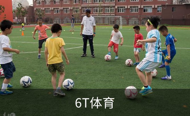 了解6T体育